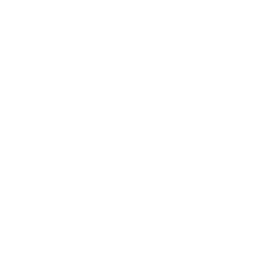 Fortinet logo