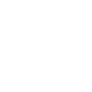 Windows Server logo
